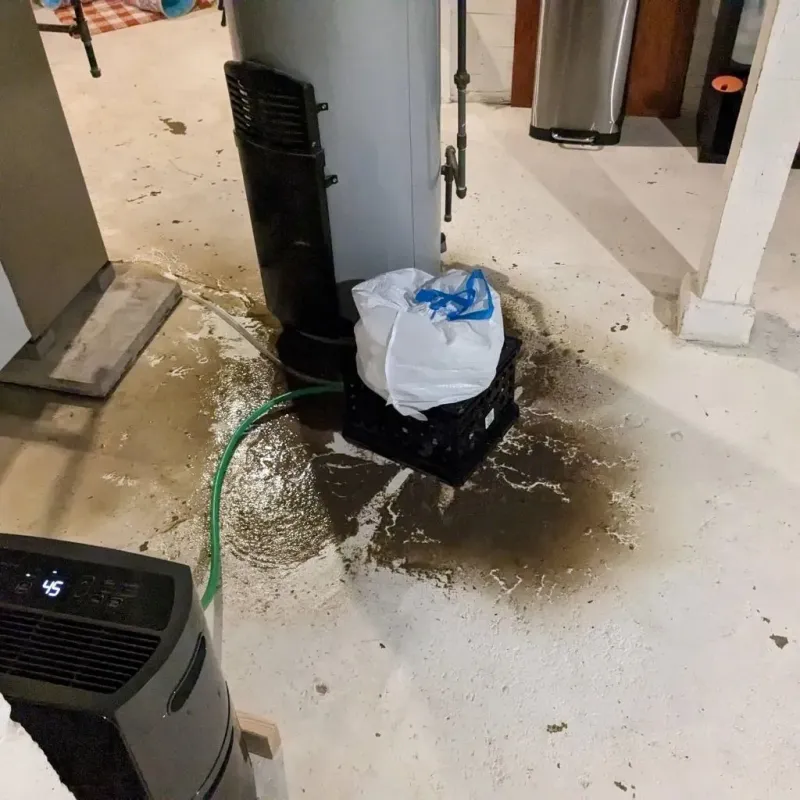 Sewage Backup Cleanup Service in Elgin, OK